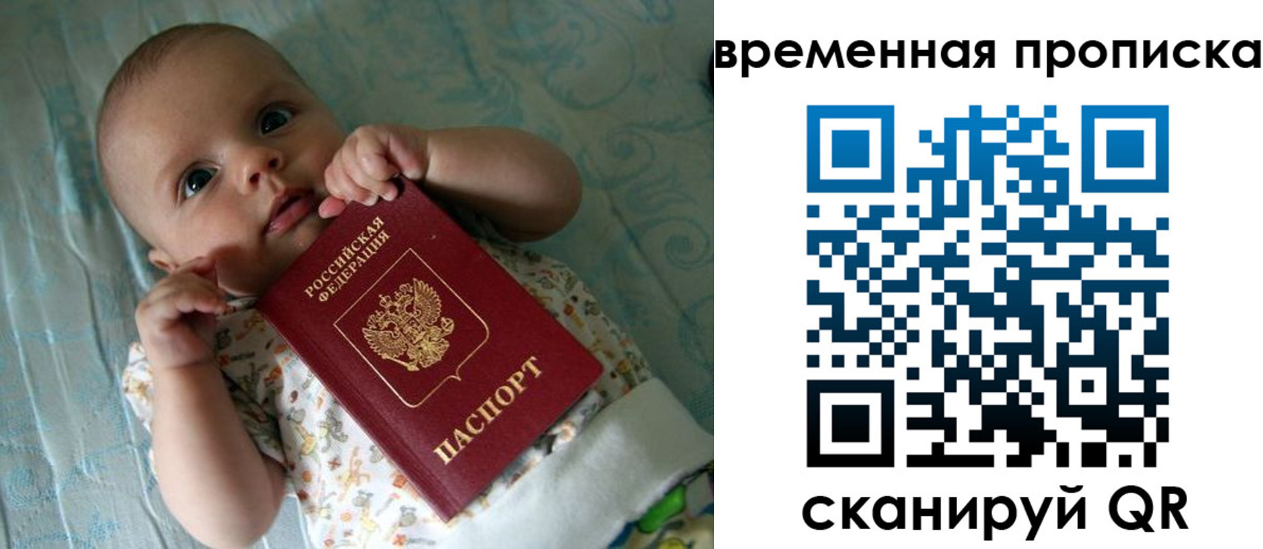 найти адрес прописки в Камышлове