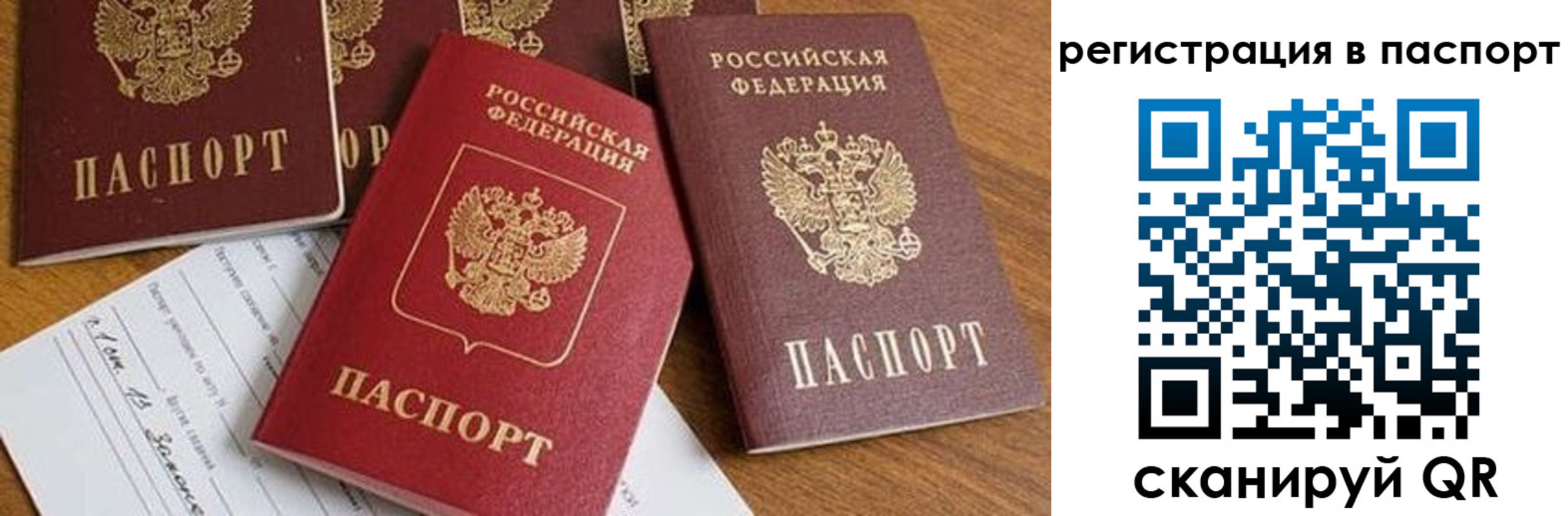 прописка в Камышлове